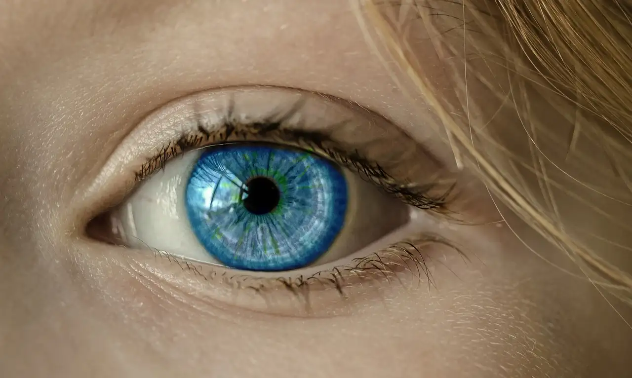 Hans Anders of Pearl: Kies de beste opticien