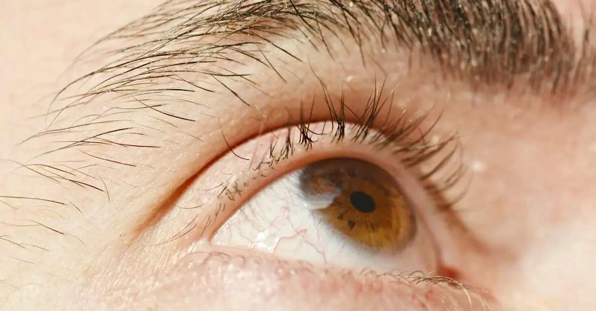 Professionele oog opticien voor uw zicht en ogen